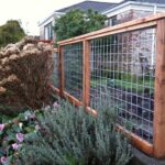 backyard fence | Cheap garden fencing, Backyard fences, Cheap fen