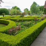 Hedges and Garden Design - GreenA