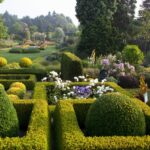 Landscaping Inspiration | Using Hedges in Garden Desi