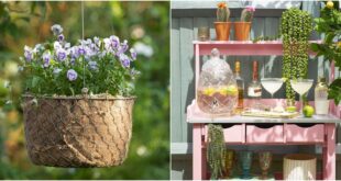 22 Garden Ideas On A Budget - Cheap Garden Ide