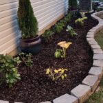 11 Low Maintenance Landscaping Ideas on a Budget | Low maintenance .