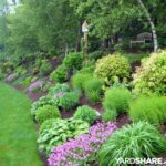 Landscaping Ideas > The Challenge of a Hill . . . | YardShare.c