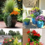 16 Colorful Shade Garden Pots & Plant Lists - A Piece Of Rainb
