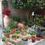 Enhance Your Outdoor Space: 17 Gravel Garden Ideas with Po