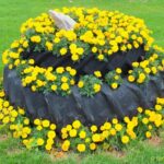 Reused Tractor Tires Make Great Garden Beds - Cookie Buxton Gardeni