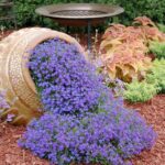 75 Landscaping Ideas You'll Love - May, 2024 | Hou