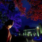 Garden Lights | Museum of the Shenandoah Vall