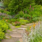 Garden Pathways: Tips and Ideas for Function & Beauty | Garden Desi