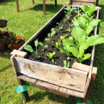 CONTAINER GARDENING: Easy DIY Elevated Planter Box from Pall