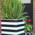 DIY OUTDOOR PLANTER IDEAS | Dimples and Tangl
