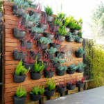 WallyGro - Eco Wall Planters - Indoor/Outdoor Vertical Garden .