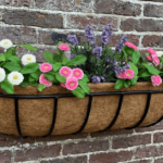 8 Best Garden Wall Planters and Living Walls | BBC Gardeners .
