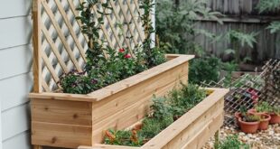 DIY Tiered Herb Garden Planter - Jenna Sue Desi