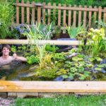 DIY Backyard Garden Pond - YouTu