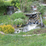 Top 3 benefits of adding a pond to your garden - Bokashi Living .