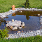 A Guide to Garden Pond Design and Constructi