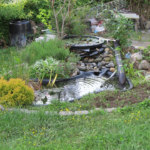 Top 3 benefits of adding a pond to your garden - Bokashi Living .