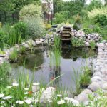 Water garden - Wikiped