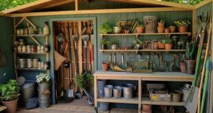 5 Helpful Shed Organization Ideas and Decluttering Ti