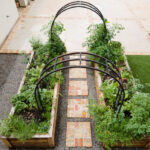 Beautiful Trellis Ideas for Every Style and Budget • Gardena
