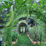 63 Garden Trellis Ideas To Add Beauty to Your Landscape | Garden .