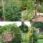 24 Easy DIY Garden Trellis Ideas & Plant Structures - A Piece of .