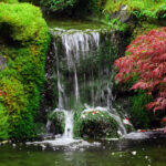 Waterfall in Japanese Garden | The Garden had a beautiful se… | Flic