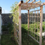 Building a Grape Arbor in Your Backyard Garden - Our Stoney Acr