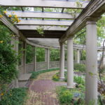 Grape Arbor - Rock Garden - Eastman House | Walking inside t… | Flic