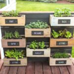 Herb Wall Planter | RUGGY D