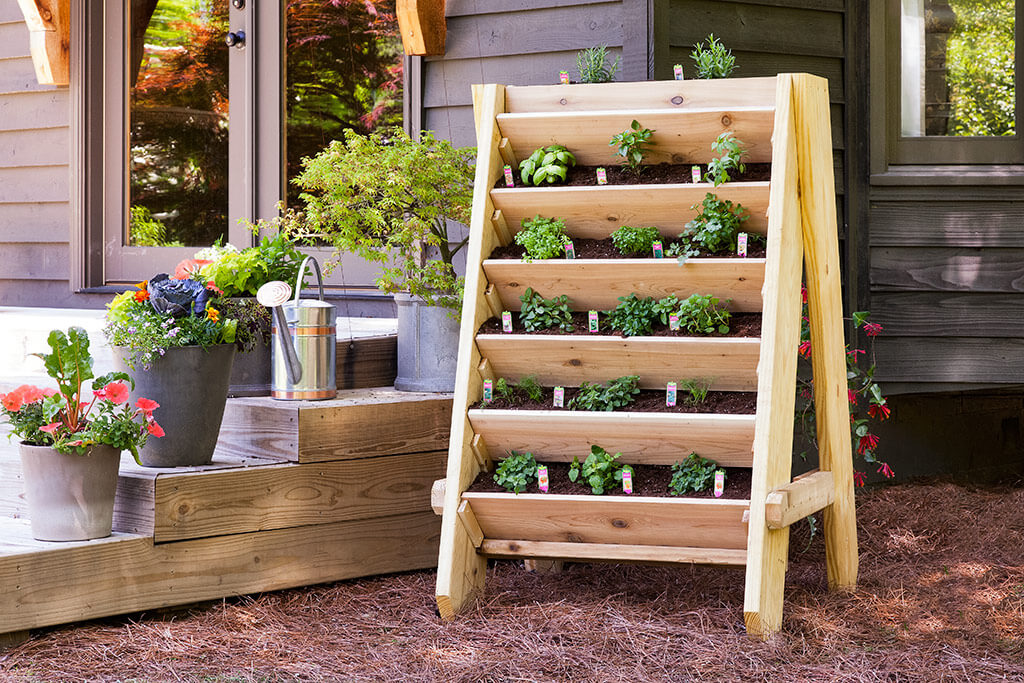 How to Create Your Own Herb Garden Planter from Scratch