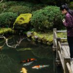 Portland Japanese Garden | The Official Guide to Portla