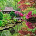 Inspirational Japanese Zen Garden Ideas – Forbes Ho