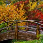 The Japanese Garden - Fort Worth Botanic Gard