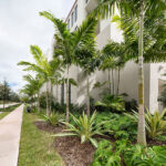 Differences between Residential and Commercial Landscape Design in .