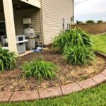 How Landscape Edging Will Elevate Your Yard » Premier Edge .