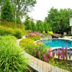 Landscape Design Ideas for Your Pool: Plants for Poolside Perfecti