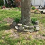 Creative Landscaping Ideas Around Tree Roots - The Honeycomb Ho