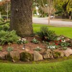 10 Tips for Landscaping Around Trees | Family Handym