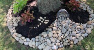 Creative Landscaping Ideas Around Tree Roots - The Honeycomb Ho