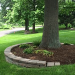 Landscaping Around Trees: Practical Tips and Inspiration - General .