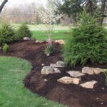 Dogwood berm | Outdoor landscaping, Garden landscaping, Lawn and .