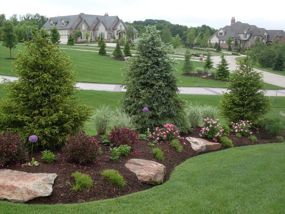 Creative Landscaping Ideas for Creating Beautiful Berms
