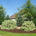 Outdoor Landscaping With Berms | Front Yard Landscaping .