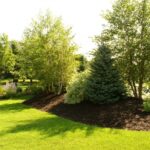 10 Ways to Make Your Yard Look Professionally Landscaped | Outdoor .