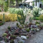 Berms & Mounds for Landscaping (Ideas & Photos) - Landscaping Netwo