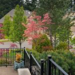 Elegant Garden Decor Tips that Suit Your Style | Platt Hill .