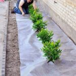 DIY Landscaping to Boost Curb Appeal | Landscaping tutorials .