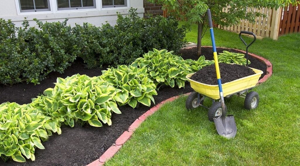 Give Dad a Break! DIY Landscape Improvements | Platt Hill Nursery .