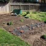 The Pros and Cons of DIY Landscaping - Emagazine.c